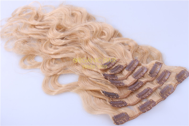 cheap clip on hair extensions remy hair clip ins
